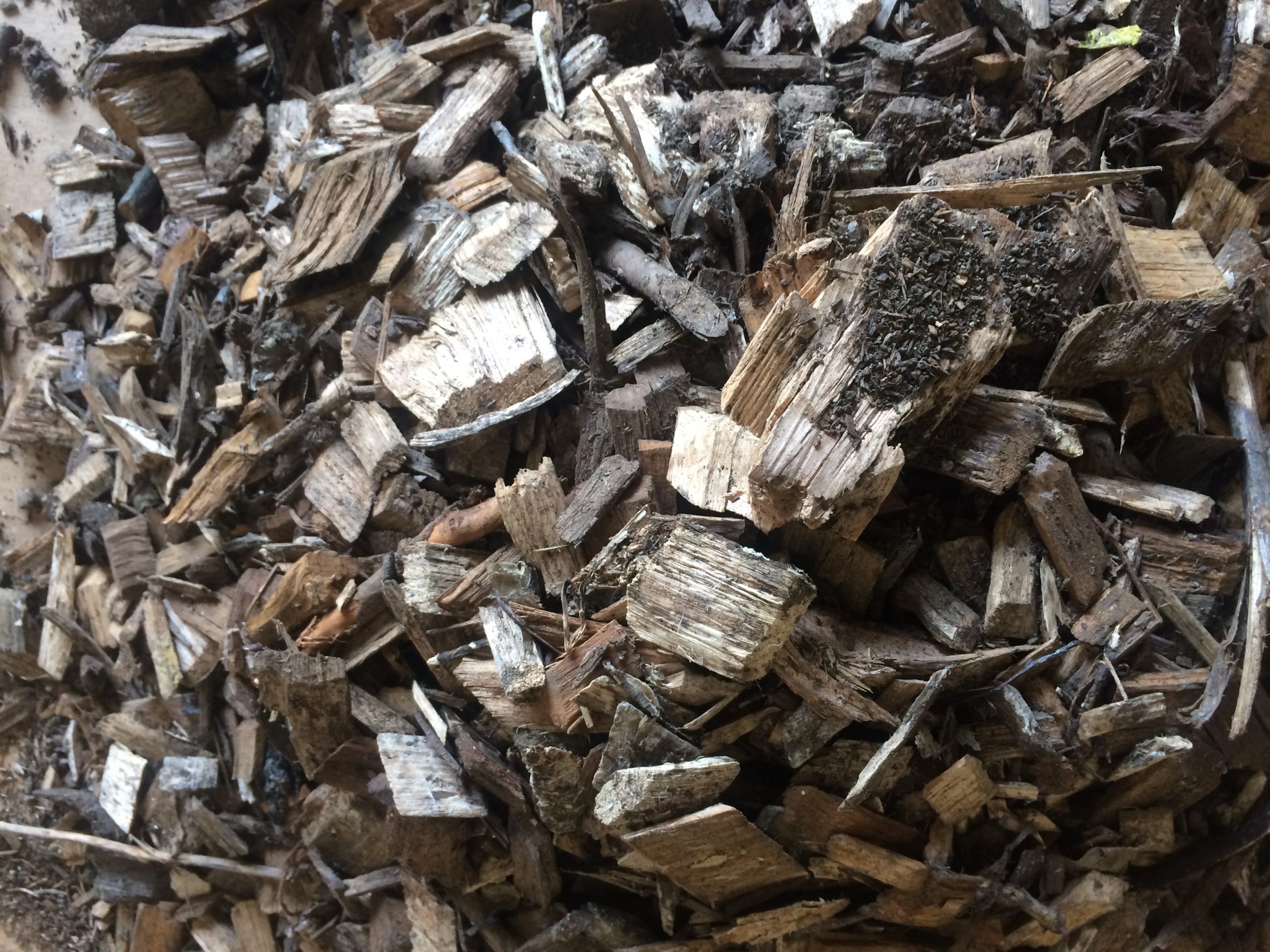 The environmentally friendly biodegradable core of the Silt Saver Chip Wattle is made up of kiln dried wood chips such as those pictured here.